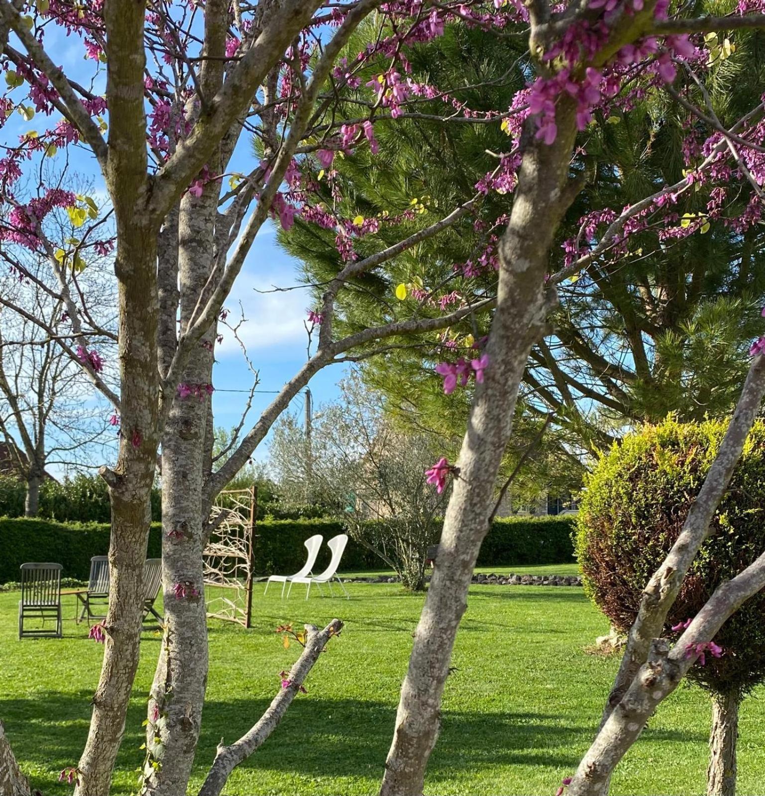 Gite Et Studios Les Barongeres Farges-les-Chalon Bagian luar foto