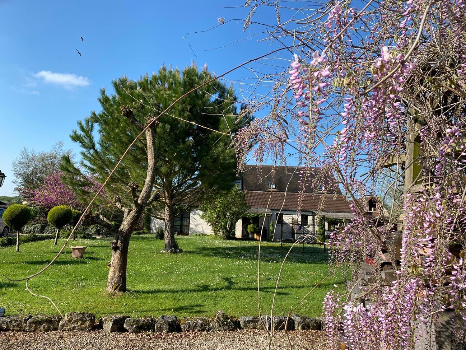 Gite Et Studios Les Barongeres Farges-les-Chalon Bagian luar foto