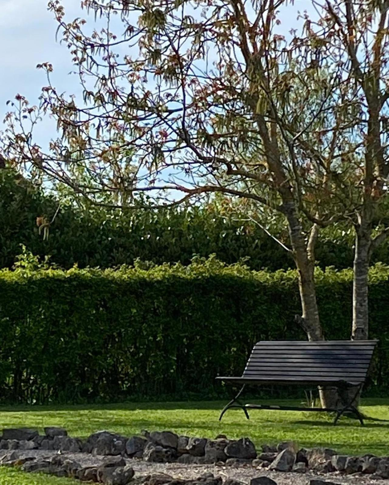 Gite Et Studios Les Barongeres Farges-les-Chalon Bagian luar foto