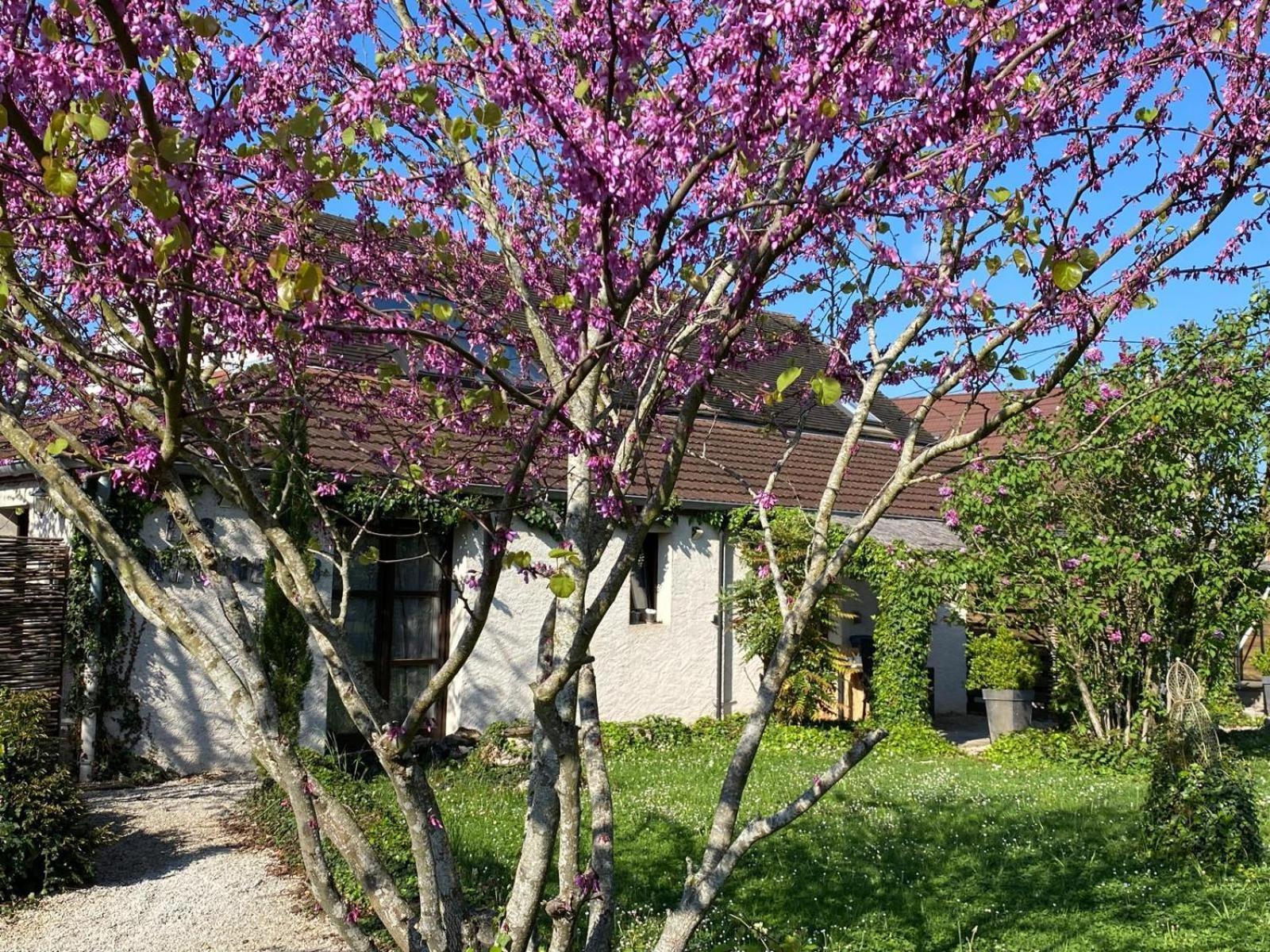 Gite Et Studios Les Barongeres Farges-les-Chalon Bagian luar foto