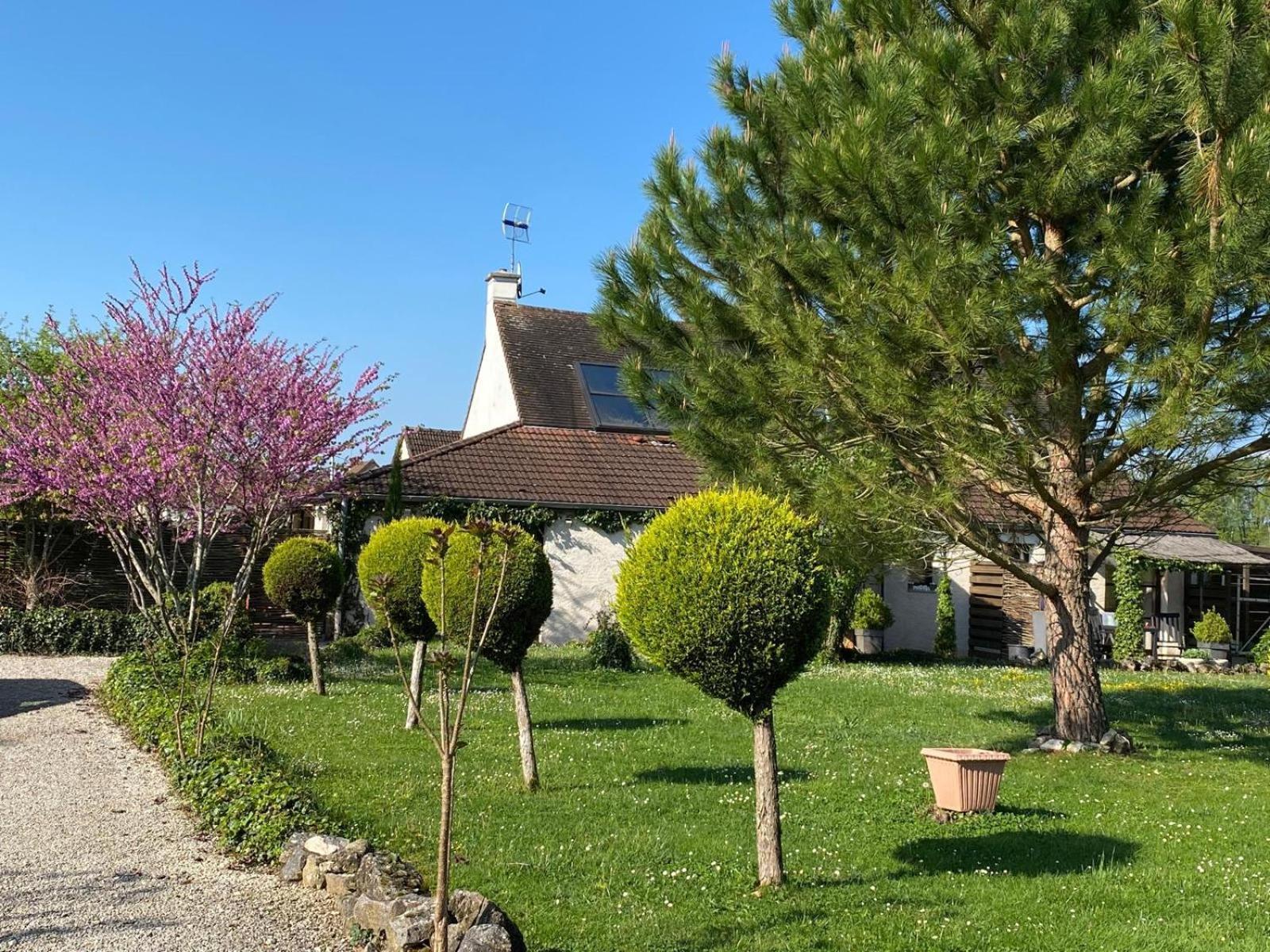 Gite Et Studios Les Barongeres Farges-les-Chalon Bagian luar foto