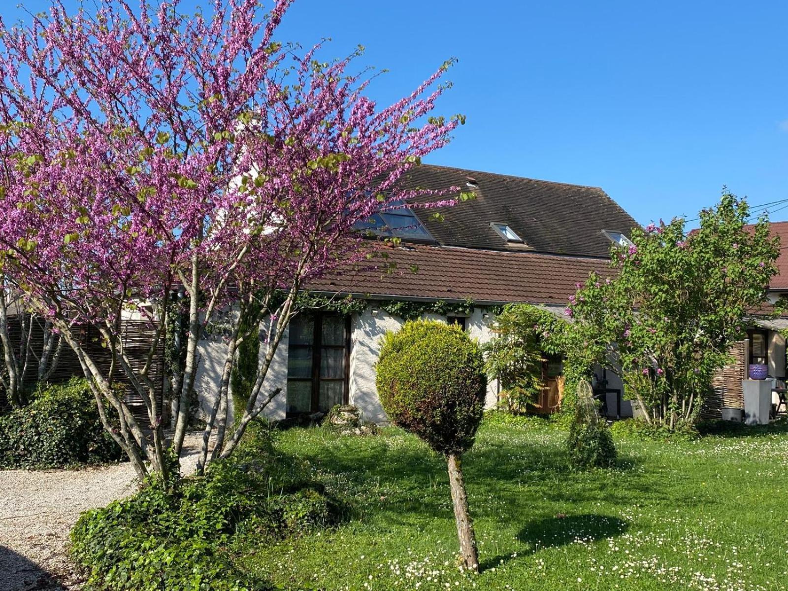 Gite Et Studios Les Barongeres Farges-les-Chalon Bagian luar foto